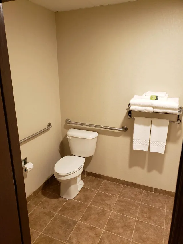 Guest Room, Single, King Bed, Accessible, Cobblestone Inn & Suites - Manning 1/1