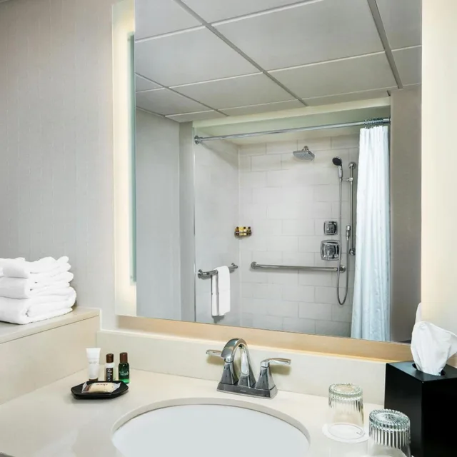 غرفة تقليدية بسريرين مزدوجين بحوض استحمام لذوي الإعاقة، Memphis Riverline Hotel 4/4