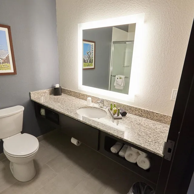 استوديو بسرير كينج مع أريكة، Gundersen Hotel & Suites 6/6