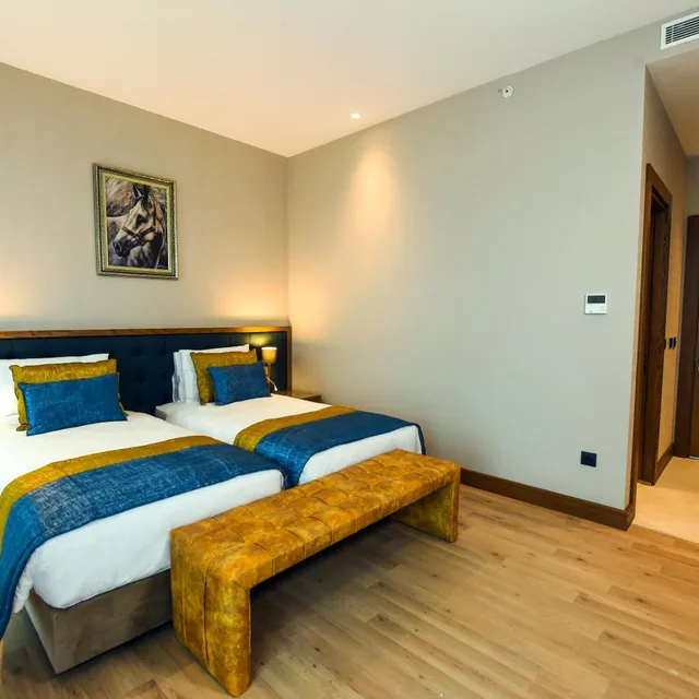 غرفة قياسية بسرير كينج، Cher Hotel & Spa Istanbul 2/8
