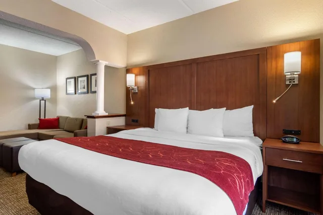 غرفة بسرير كينج مع أريكة، Comfort Suites Woodstock - Atlanta North 2/3