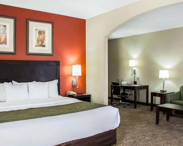 جناح تنفيذي بسرير كينج، Comfort Suites Regency Park 1/6
