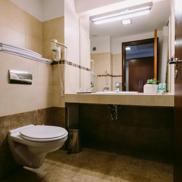 غرفة بزنس بسرير مزدوج أو سريرين منفصلين، Hotel Timisoara 7/10