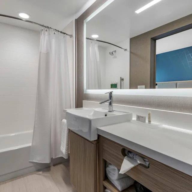جناح بسرير كينج بحوض استحمام لذوي الإعاقة، SpringHill Suites by Marriott Anaheim Placentia/Fullerton 3/3