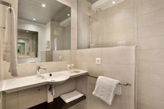 غرفة كلاسيكية بسرير مزدوج أو سريرين منفصلين، Hotel D Alsace 7/8