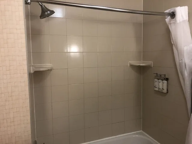 غرفة قياسية بسرير كينج مع أريكة، Holiday Inn Express Hotel And Suites Lansing Dimondale 8/8