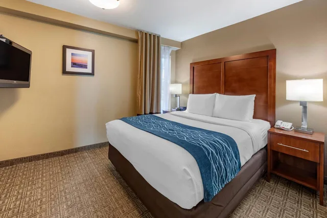 Studio, Suite, Multiple Beds، Comfort Inn & Suites Ventura Beach 1/5