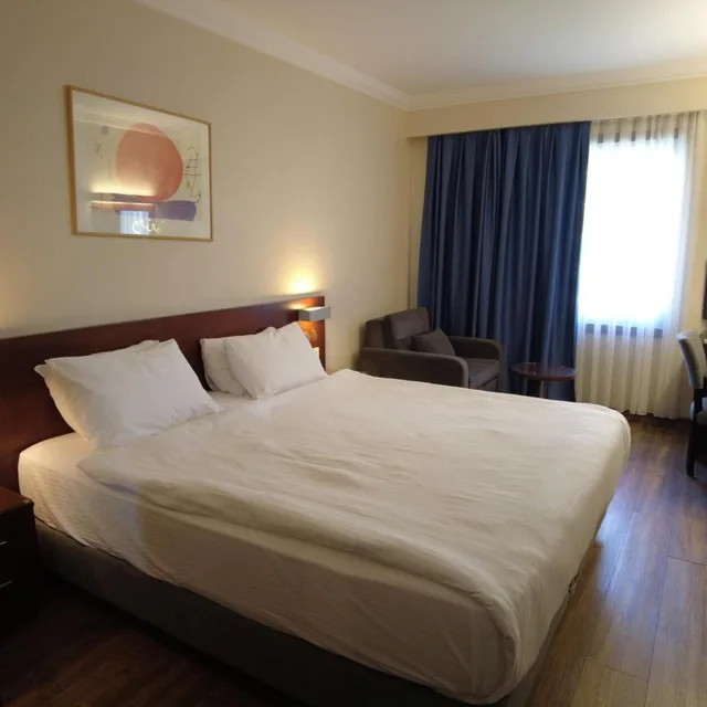 غرفة قياسية بسرير مزدوج أو سريرين منفصلين، Feronya Hotel 2/10