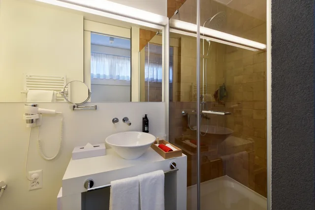 غرفة قياسية مفردة بسرير مزدوج، Home Swiss Hotel 6/6