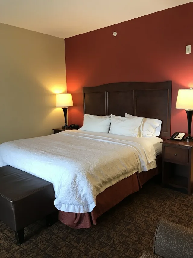 غرفة بسرير كينج مع أريكة لذوي الإعاقة، Hampton Inn Suites Mcallen 2/10