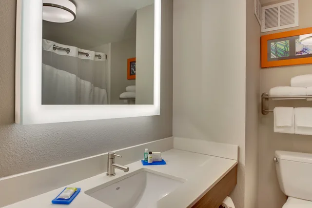 غرفة قياسية، Holiday Inn Express & Suites Atlanta N-Perimeter Mall Area, an IHG Hotel 5/7