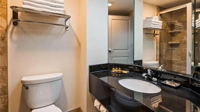 Room, Double Bed, Best Western Plus Inntowner Madison 3/4