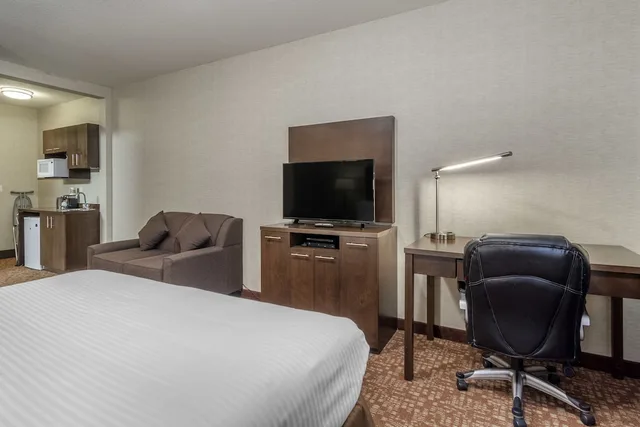 جناح بسرير كينج بغرفة نوم واحدة، Devonian Hotel Suites 4/6