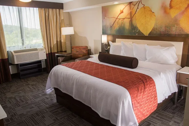 غرفة بسرير كينج لذوي الإعاقة، Holiday Inn Brookfield - Milwaukee 2/2