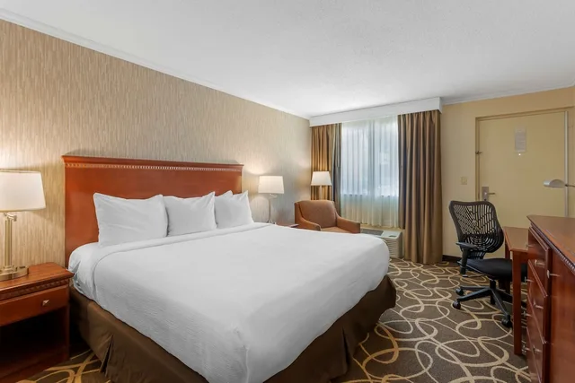 غرفة قياسية بسرير كينج بإطلالة على الفناء، Best Western Plus Burley Inn & Convention Center 1/10