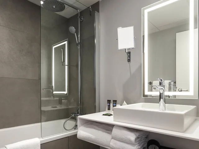 Classic, Family, Double Bed, Sofa, Novotel Annecy Centre 8/8