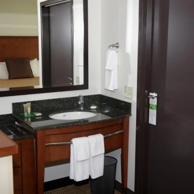 غرفة بسرير كينج مع أريكة لذوي الإعاقة، Hyatt Place Fort Myers At the Forum 2/3