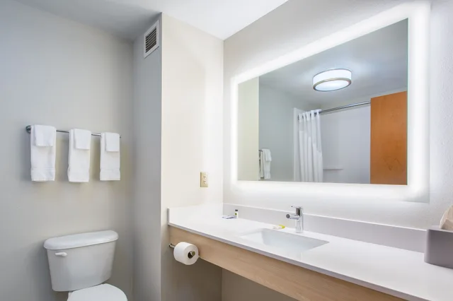 جناح بسرير كينج لذوي الإعاقة، Holiday Inn Express Hotel Suites Lewisburg 2/3