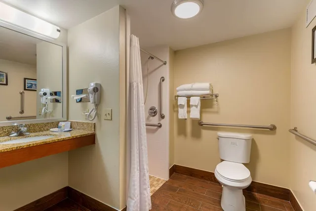 Room, King Bed, Accessible, Comfort Inn & Suites Milford DE 4/4