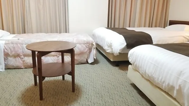 Deluxe, Triple, Washing Machine، Hotel Grand Terrace Toyama 1/1