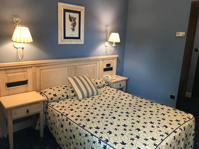 غرفة مفردة، Hotel Leonor Miron 2/7