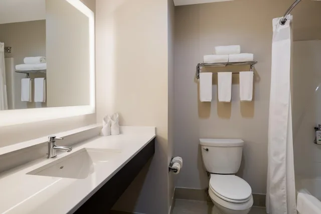 Suite, King Bed, Sofa, Holiday Inn Express Hotel & Suites Newton Sparta 6/10