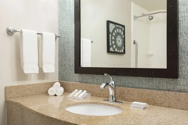 جناح جونيور بسرير كينج، Hilton Garden Inn Troy 3/3