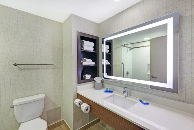 غرفة قياسية، Holiday Inn Express Hotel Suites Woodstock South 1/3