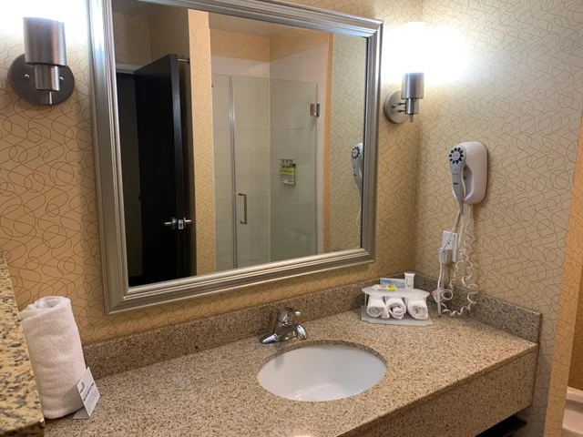 Room, King Bed, Holiday Inn Express Hotel And Suites Lansing Dimondale 3/3
