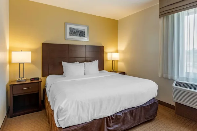 Efficiency, Suite, King Bed, Accessible، MainStay Suites Near Denver Downtown 1/3