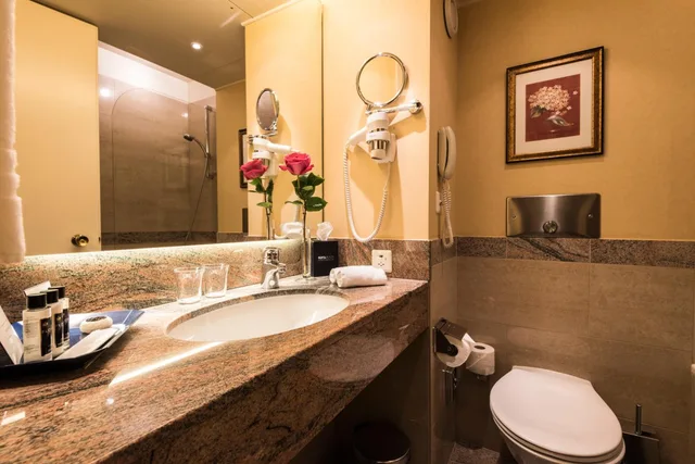 غرفة قياسية بسرير مزدوج، Royal Plaza Montreux Hotel 5/8