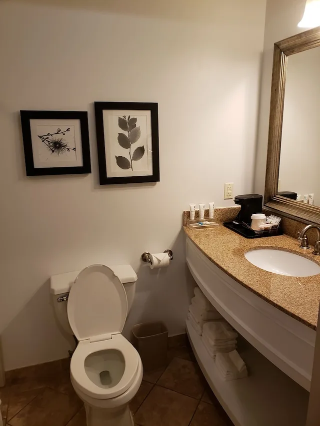 غرفة بريميوم بسرير كينج، Country Inn Suites By Radisson Metairie New Orleans La 7/8