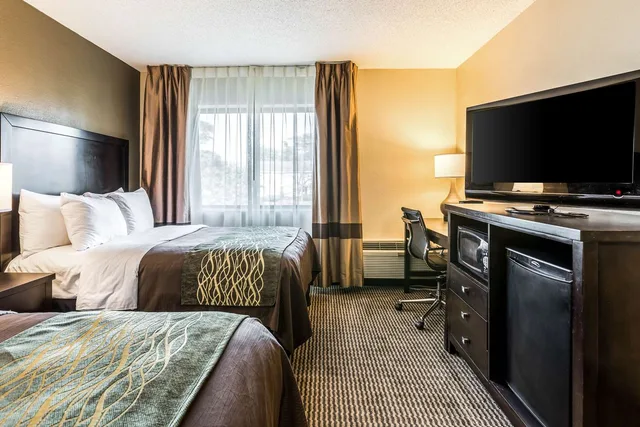 غرفة بسريرين مزدوجين، Comfort Inn Downtown Detroit MI 3/6