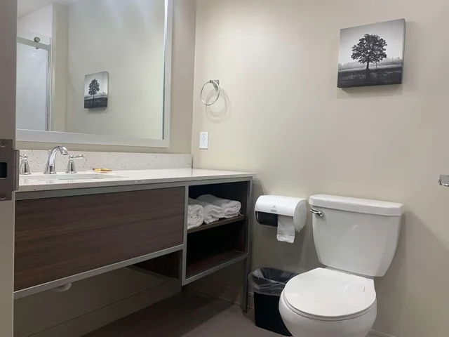 غرفة بسرير كينج لذوي الإعاقة، Best Western Plus Horseheads Inn Suites 4/4