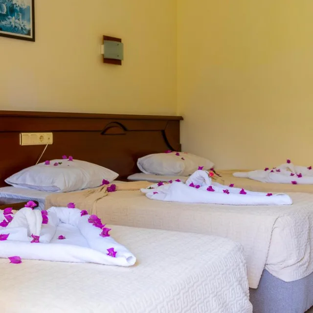 غرفة قياسية بسرير مزدوج، Imeros Hotel 7/9