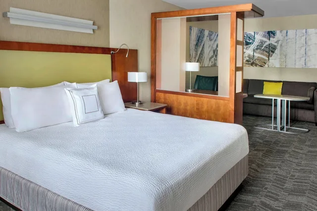استوديو بسرير كينج مع أريكة لذوي الإعاقة، Springhill Suites By Marriott Long Island Brookhaven 1/1