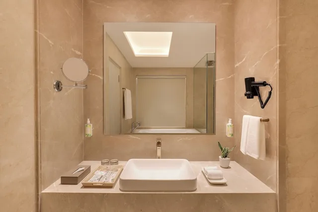 جناح استوديو تنفيذي بسرير كينج، Hotel Lemon Tree, Premier, Kathmandu 4/5
