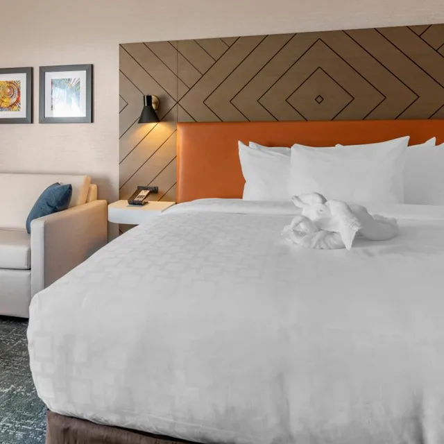 غرفة ديلوكس بسرير كينج بحوض استحمام، Clarion Inn Nashua, NH 2/4