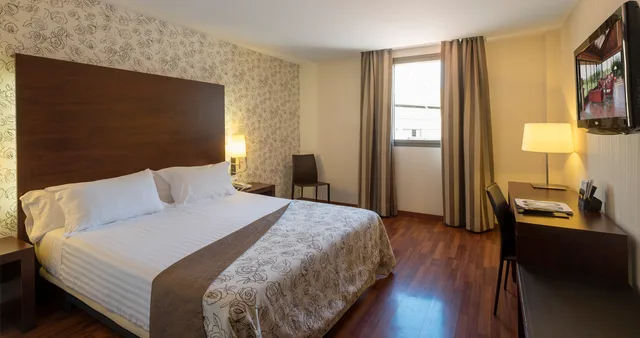 غرفة غراند مفردة بسريرين منفصلين، Hotel Gran Ultonia 1/1