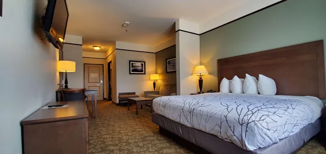 جناح بسرير كينج لذوي الإعاقة، Best Western Plus Emory At Lake Fork Inn And Suites 1/1