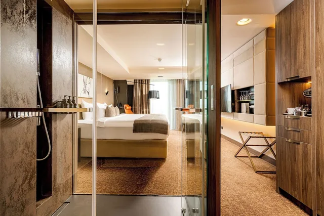 غرفة تنفيذية بسريرين منفصلين، Kronwell Brasov Hotel 9/10