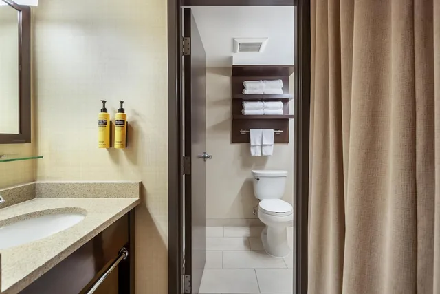 غرفة قياسية بسرير كينج، Best Western Plus Edmonton Airport 5/6