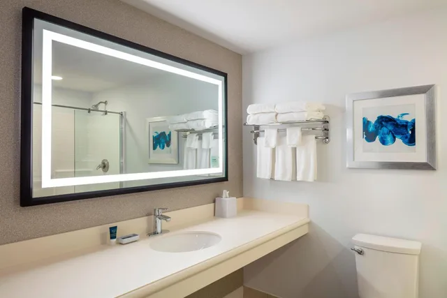 Guest Room, King Bed, Allergy Friendly، Four Points By Sheraton Norwood 5/7