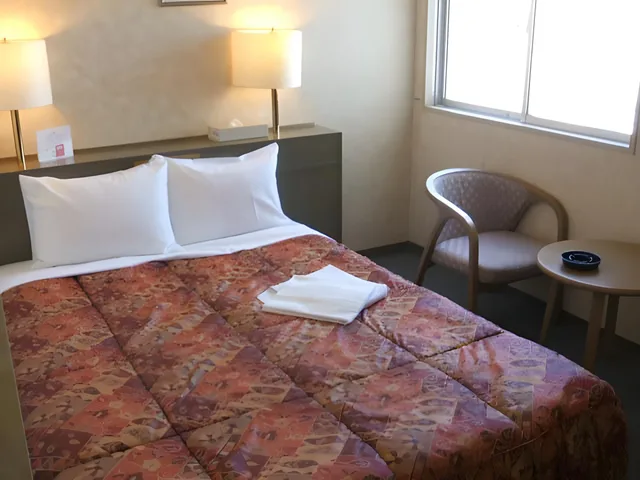 Semi Room, Semi Double Bed, Smoking، Shizuoka Daiichi Hotel 1/1