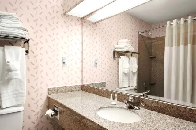 غرفة بسرير كينج لذوي الإعاقة، Coratel Inn & Suites by Jasper New Braunfels IH-35 EXT 189 8/9