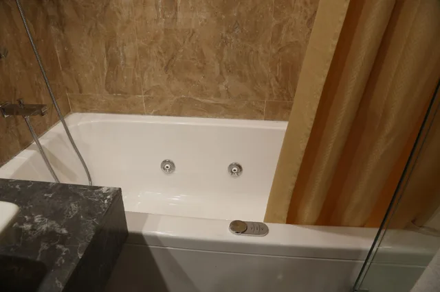 Executive, Suite, The Ashok 8/8