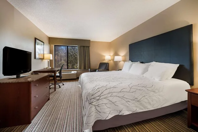 غرفة بسرير كينج، Best Western Park Oasis Inn 1/2