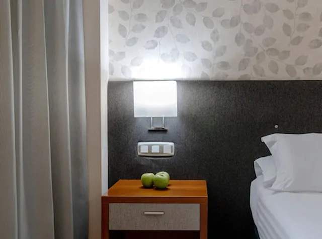 غرفة ديلوكس بسرير مزدوج، Hotel Plaza Las Matas Formerly Tryp Las Matas 3/3