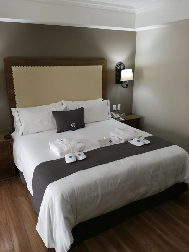 Premier, King Bed, City View, Historico Central 3/7