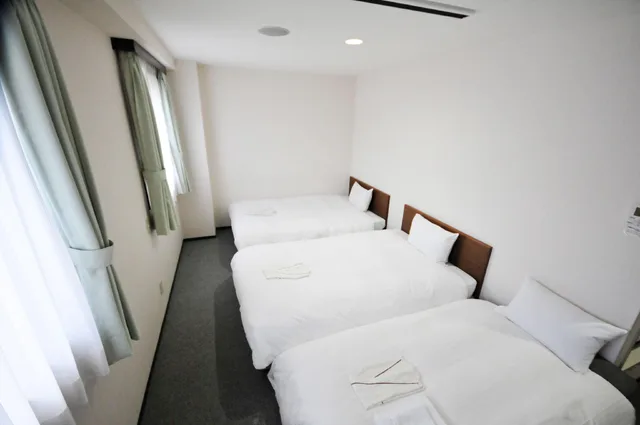 غرفة ثلاثية، Hotel Green Line 1/1